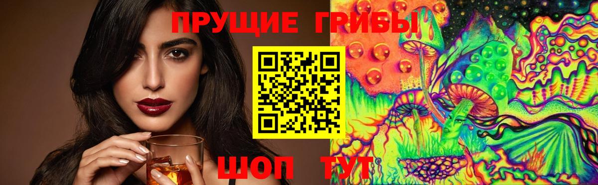 Сафоново  Псилоцибиновые грибы Magic Shrooms  Вход с VPN 